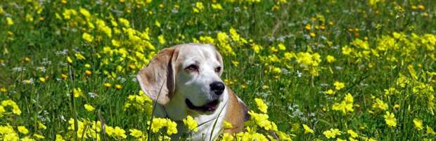 Гроза и усиление ветра: какая погода ожидается на юге Казахстана в ближайшие дни