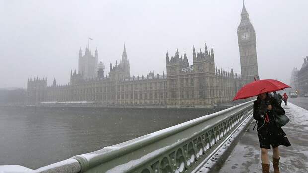 "Эмоциональная мебель": британцы нашли крайне экстравагантную замену детям