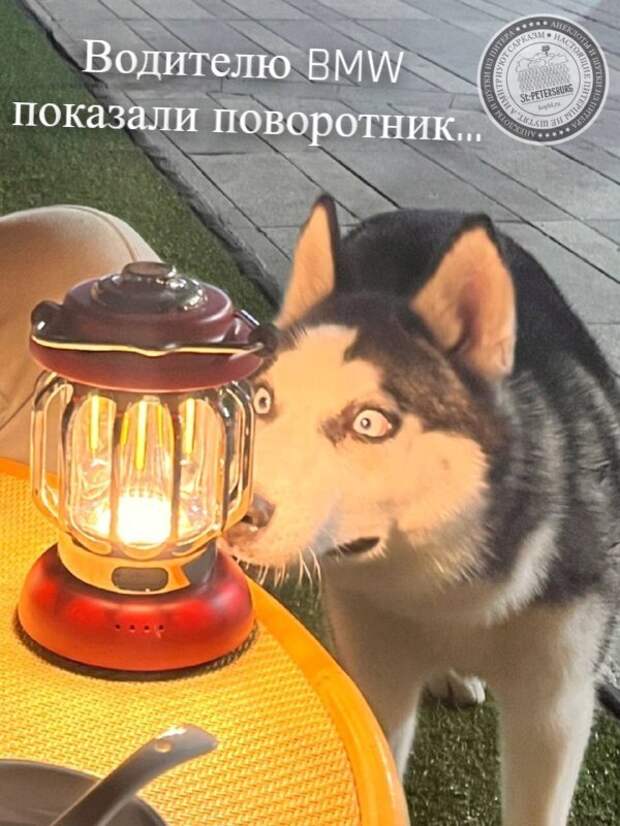 Поворотник
