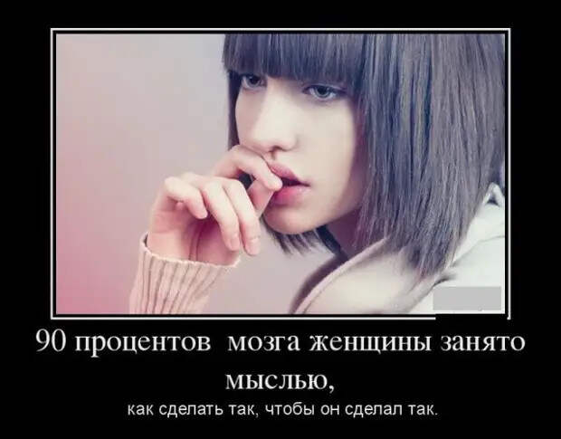 Сидят два кума в поле, пьют горилку. Вдруг над ними пролетает кукурузник...