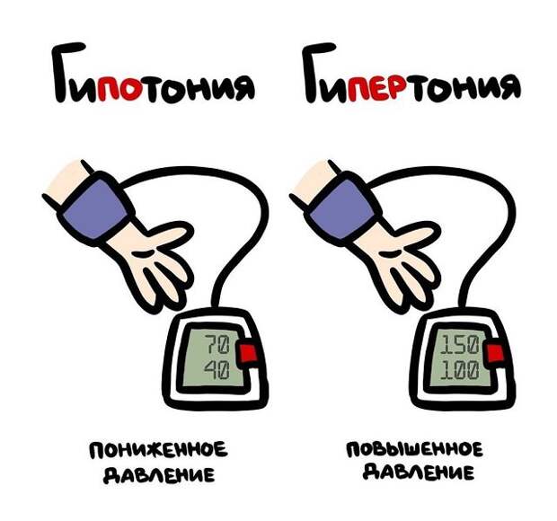 Полезные подсказки о вещах и понятиях, которые люди часто путают