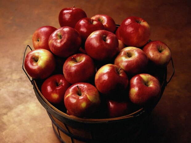 "Кто чем богат, тот тем и делится". Замечательная притча про вердро с яблоками. Очень жизненно, честное слово!