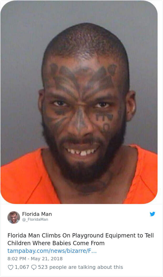 Florida-Man-Headings