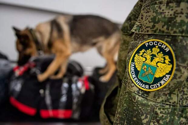 Какие праздники отмечаются 25 октября 2025 года