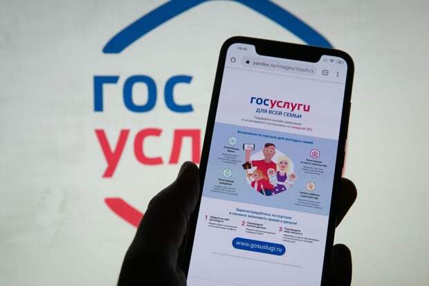 Как оформить займ онлайн через Госуслуги