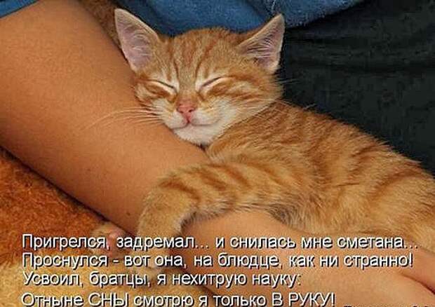 9597ec31808482c1d84aaef7fc7_prev