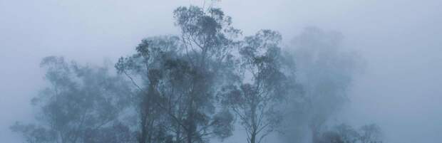 Спасатели предупредили алматинцев о тумане и гололёде