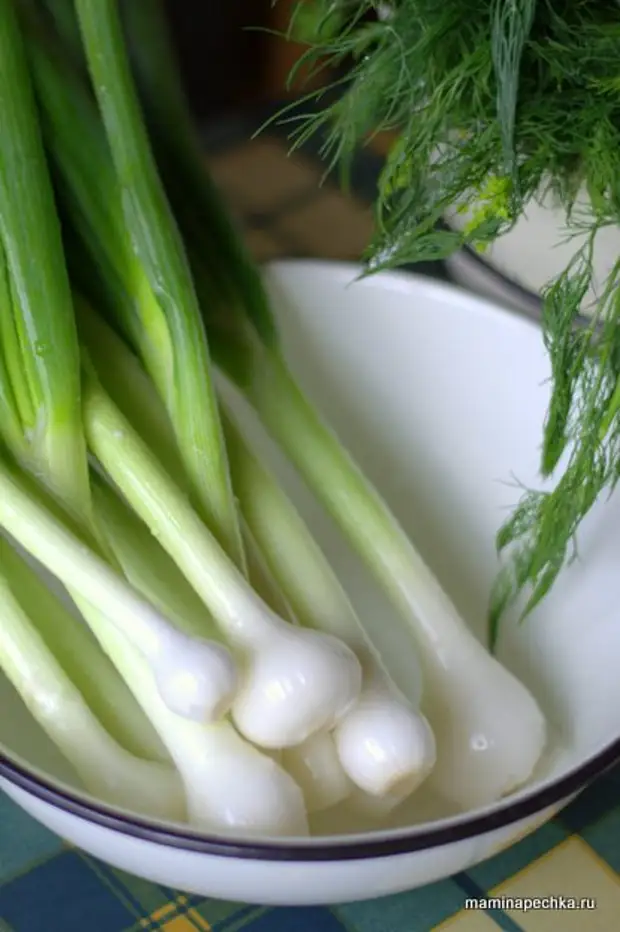 Салат из черемши с яйцом и огурцом. Красивый зеленый лук. Салат с зелёным луком и яйцом. Вареный лук. Волшебная кухня зеленый лук.