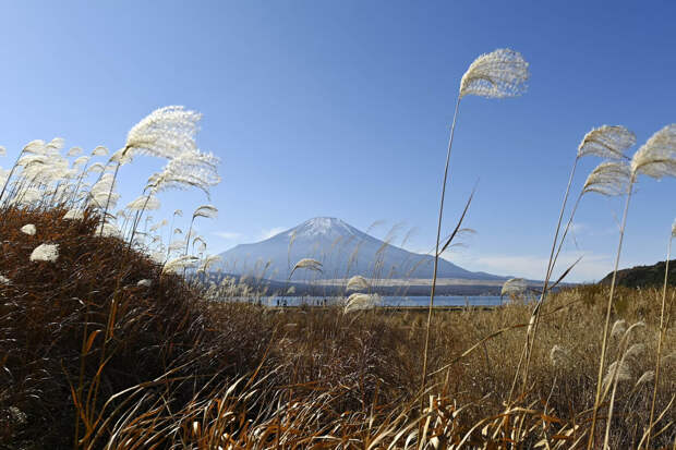 Вид на гору Фудзи с озера Яманакако