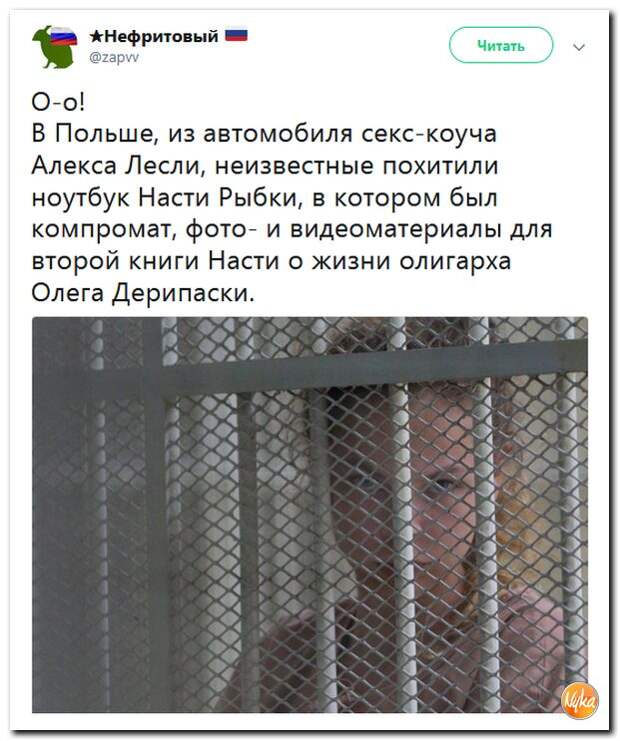 95.jpg