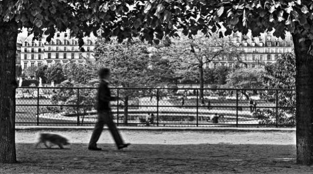 image19_601x336
