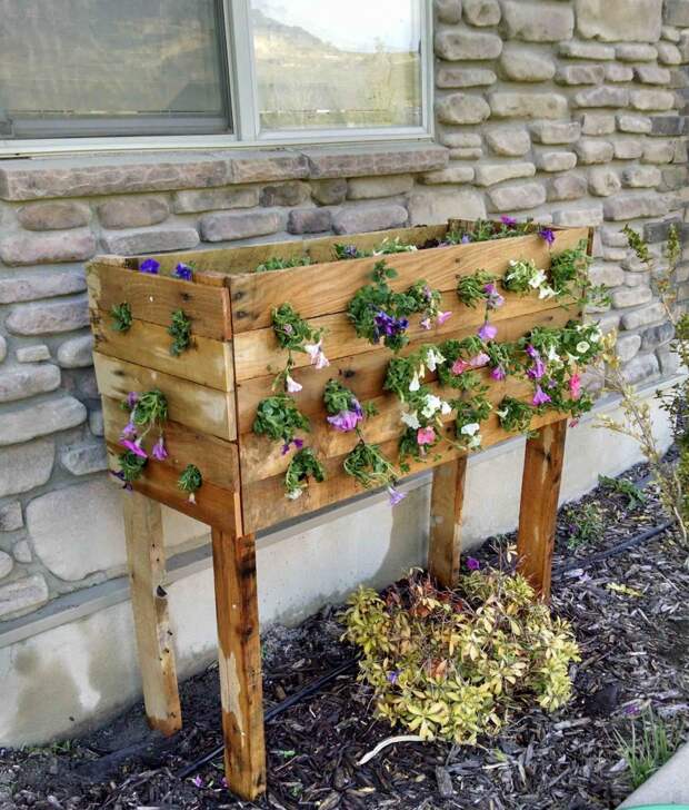 Каскадная клумба из подручных средств Каскадная клумба из подручных средств