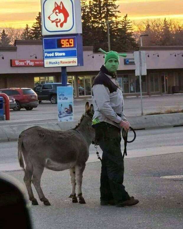 Подборка прикольных картинок