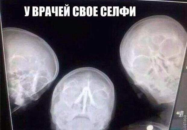 Свежие очень смешные картинки