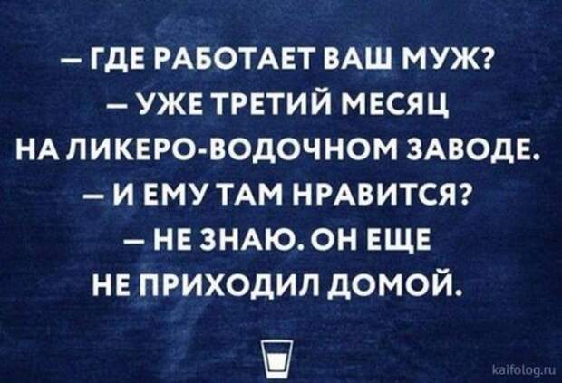 Алкогольный юмор Алкогольный юмор