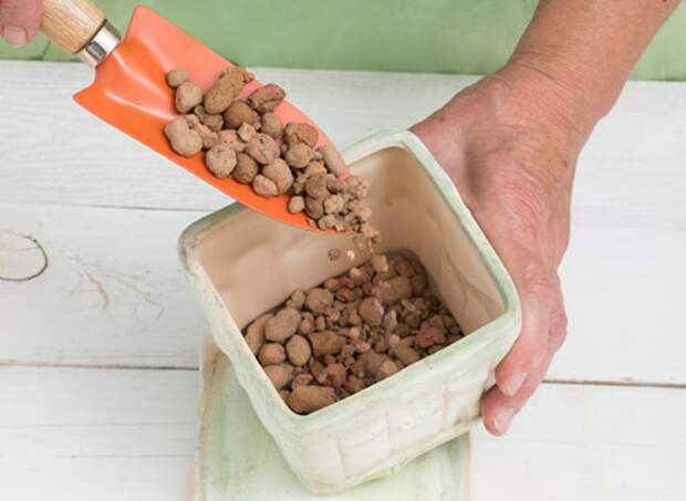 керамзит в горшке