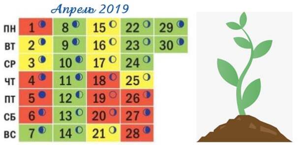 Календарь посадки растений на апрель 2024 года