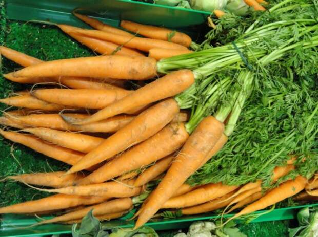 Морковь (Carrots) © Daderot