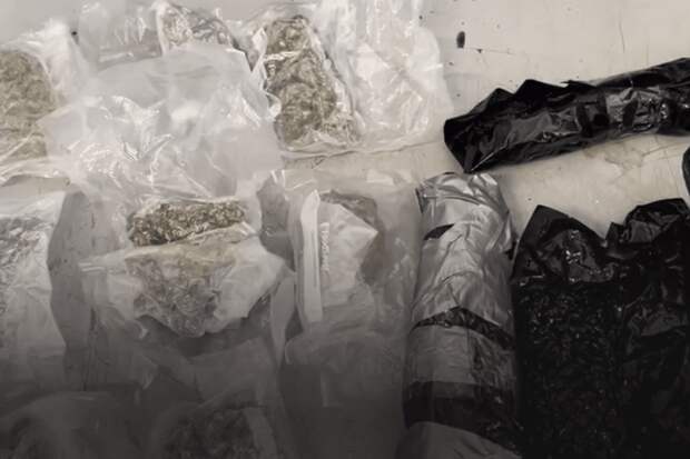 Во Внуково в посылке из Калифорнии нашли 13 пакетов марихуаны