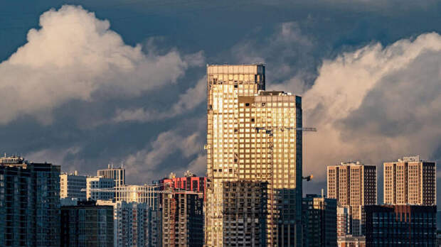 Разворотнева: в работе законопроект о новом способе защиты от жилищных аферистов