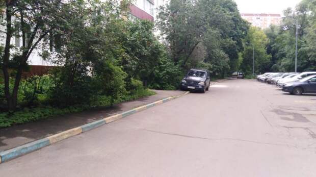 Жилищник убрал разбросанные на Фестивальной сухие ветки