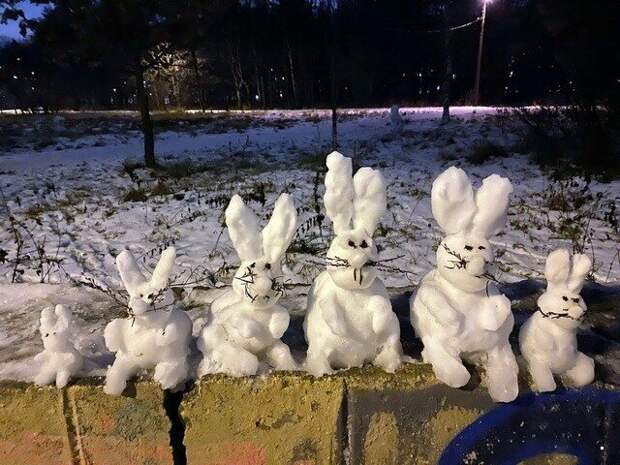 ФотоВсячина