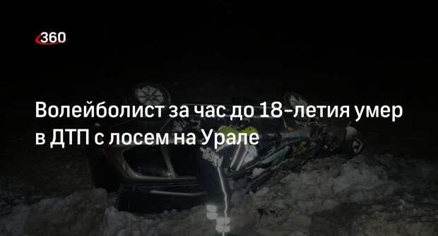 Подросток умер в ДТП с лосем на трассе Нижний Тагил — Нижняя Салда