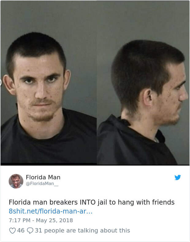 Florida-Man-Headings