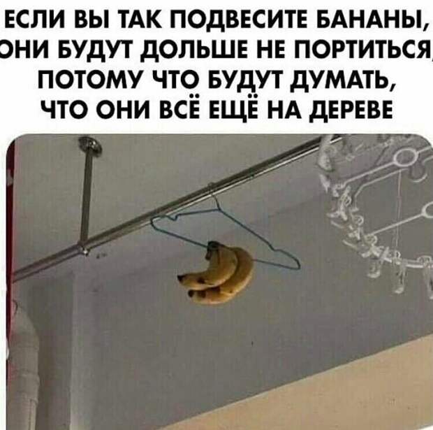 Неисчерпаемая кладезь мудрости: интернет