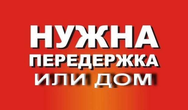 В одном из садоводств остались брошенные малыши... В садоводстве людей нет... Если вы поможете, хотя бы временно, они выживут.