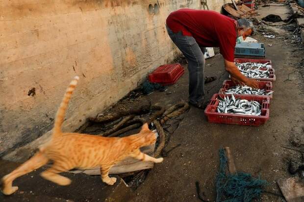 7073922_original (700x466, 113Kb)