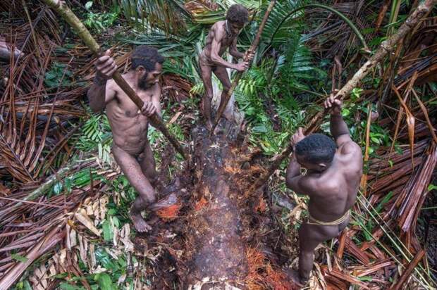 Древнее племя вымирает из-за миссионеров дикое племя, индонезия, интересно, новая гвинея, племя короваи, познавательно, тропой предков, этнография