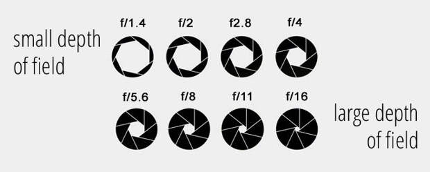 Photography aperture explained: f-stops and depth of field