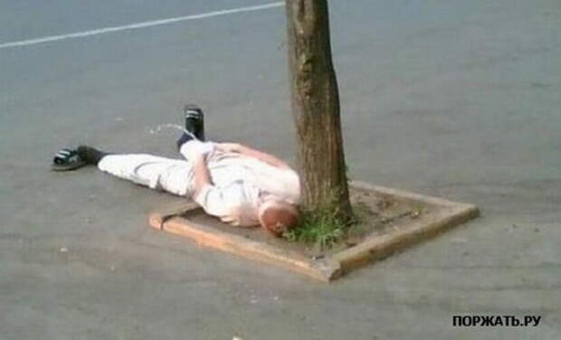 Приколы еще не надоели ?:)