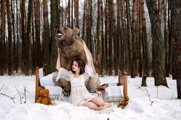 650-килограммовый медведь Степан. Фото: Ольга Баранцева.