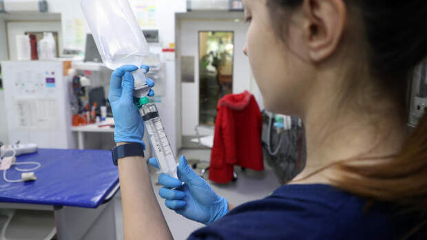 Пришлось ампутировать хвост: питомца певицы Ляльки травмировали в груминг-салоне