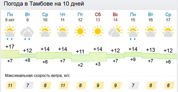 Точный прогноз омске на 10 дней погода