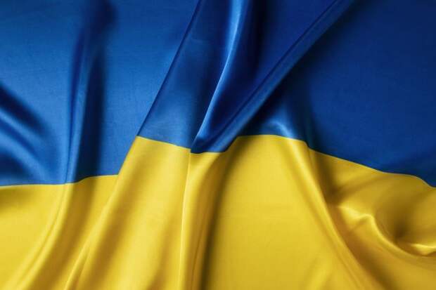 Украинский неонацизм ставит под угрозу стабильность мира: заявление МИД РФ