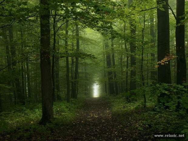 nature_018