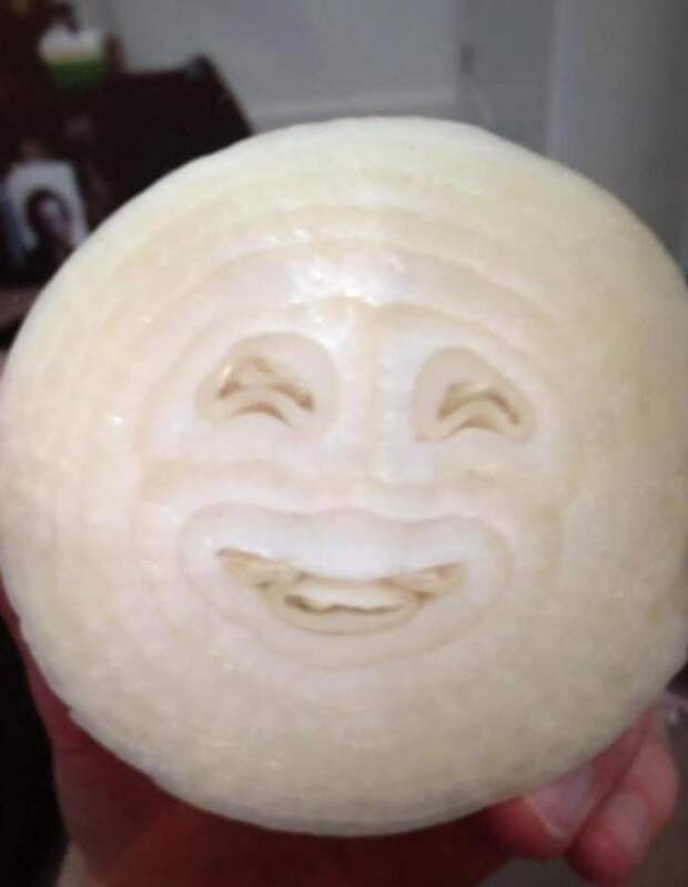 10 фото, на которых запечатлены редкие моменты