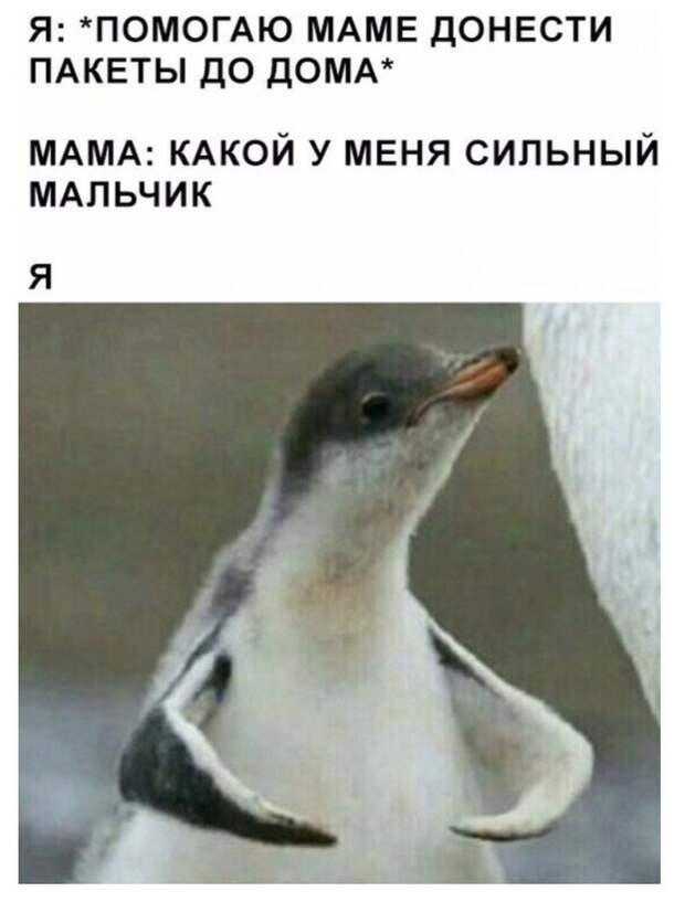 Похвала