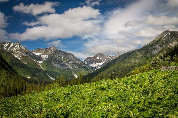 природа, Саяны, река