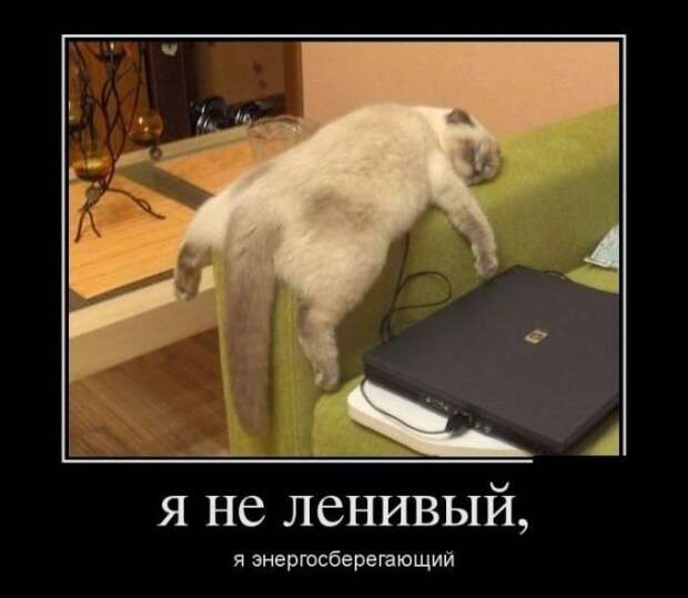 Демотиваторы (30 фото)