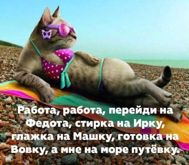 22 классных веселых анекдота