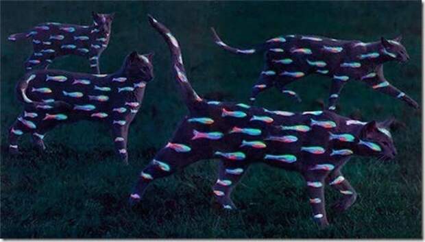 clip_image003