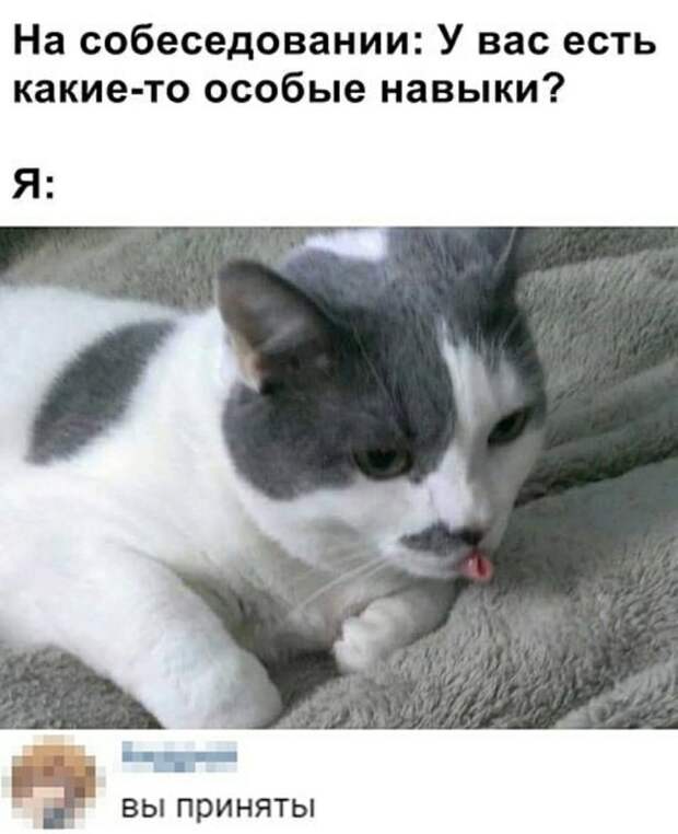 Коротко обо мне Коротко обо мне