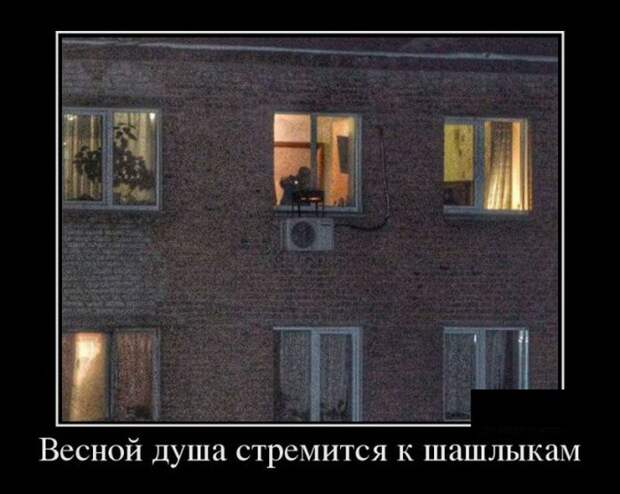 Демотиваторы (30 фото)