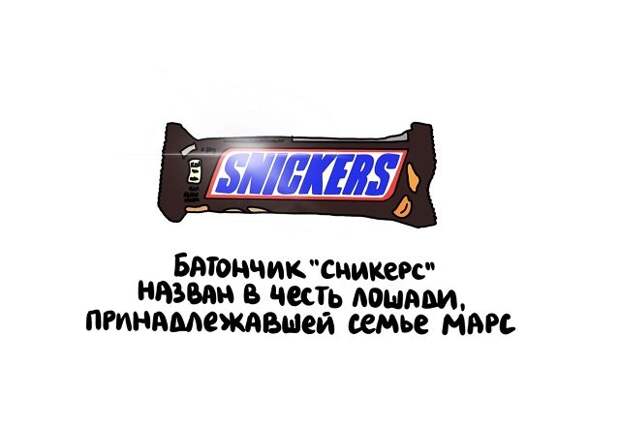 Интересные короткие факты на все случаи жизни
