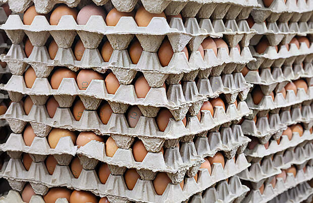 Власти Казахстана ввели временный запрет на импорт яиц