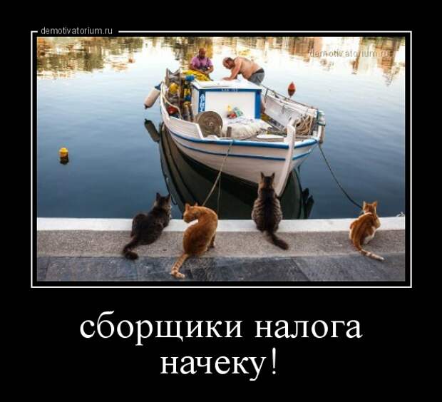 Демотиватор сборщики налога начеку!